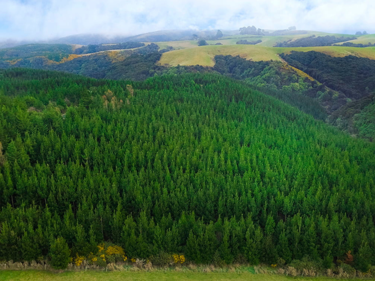 Ngā Rawa Māori o te Ao Tūroa _ Natural Resources