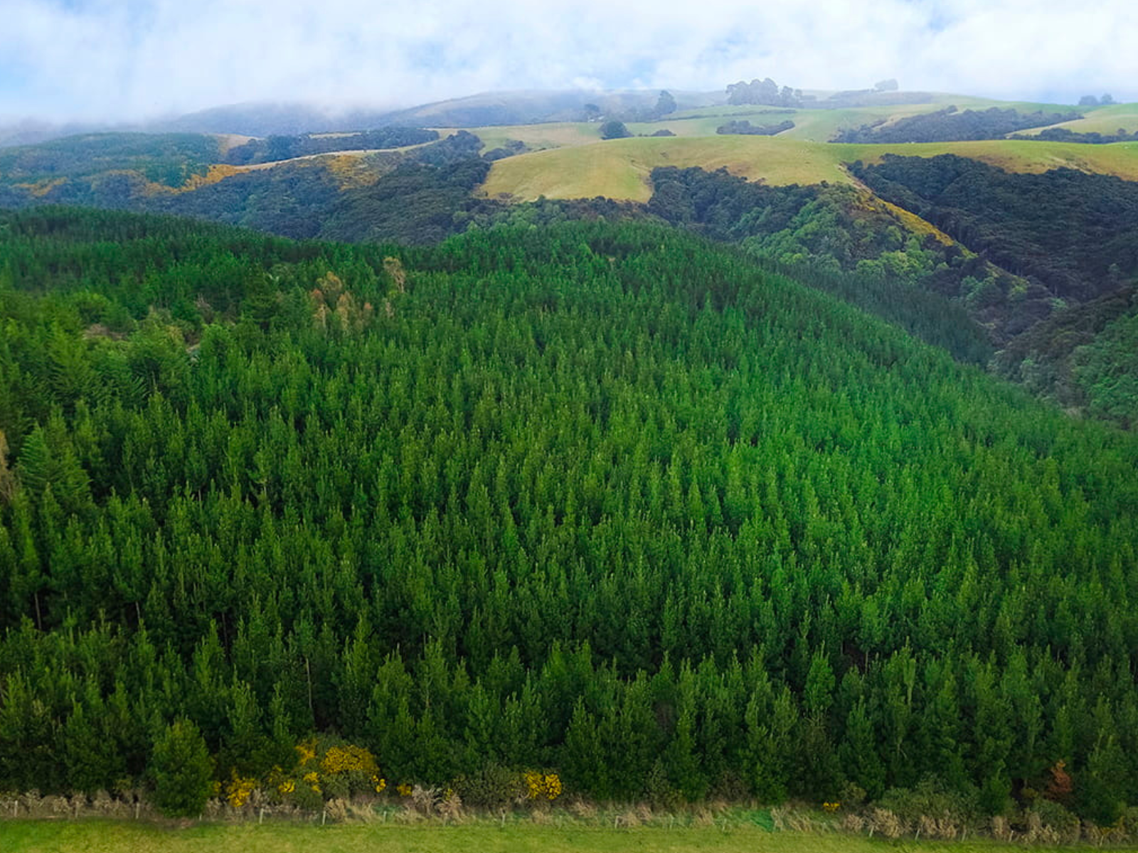 Ngā Rawa Māori o te Ao Tūroa _ Natural Resources
